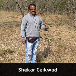 Shekar Gaikwad